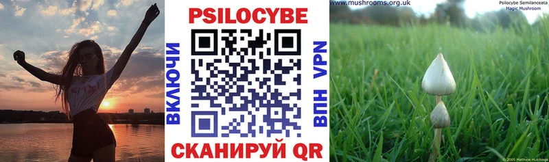 Галлюциногенные грибы ЛСД Боготол