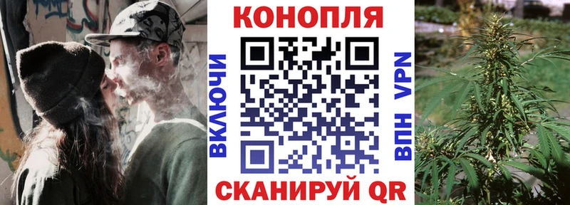 даркнет сайт  MEGA как зайти  Шишки марихуана сатива  Боготол 